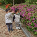 꽃잎2반 4월4주활동입니다~~ - 2023년 꽃잎반 앨범 - 꼬망세하바어린이집 꽃잎2반 4월4주활동입니다~~