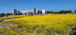 🌺🍒 야곱이 에서를 만날 준비 - 자유 글 - 청송 월외 초등 학교 🌺🍒 야곱이 에서를 만날 준비