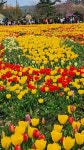🌺🍒새 생명으로 인도하시는 - 자유 글 - 청송 월외 초등 학교 🌺🍒새 생명으로 인도하시는