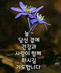 🌺🍒새 생명으로 인도하시는 - 자유 글 - 청송 월외 초등 학교 🌺🍒새 생명으로 인도하시는