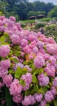 🌺🍒 야곱이 에서를 만날 준비 - 자유 글 - 청송 월외 초등 학교 🌺🍒 야곱이 에서를 만날 준비