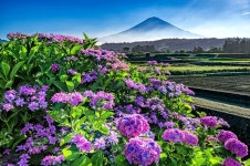 🌺🍒 야곱이 에서를 만날 준비 - 자유 글 - 청송 월외 초등 학교 🌺🍒 야곱이 에서를 만날 준비