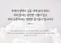 🌺🍒새 생명으로 인도하시는 - 자유 글 - 청송 월외 초등 학교 🌺🍒새 생명으로 인도하시는