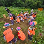 어울림반 7월 1주 놀이사진입니다3 - 25학년 / 어울림반 - 구립오렌지어린이집 어울림반 7월 1주 놀이사진입니다3