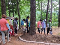 치유의 숲 힐링프로그램 (7월 13일, 23일) - 센터활동사진2021 - 광양노인복지센터&봉강노인요양원 치유의 숲 힐링프로그램 (7월 13일, 23일)