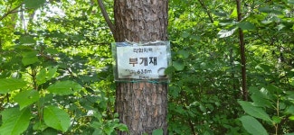 160 각화지맥 20260627 - 대대로 - J3 클럽 J3 클럽
