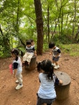 햇살반 7월 2주 - 숲 체험 - 햇살반(만2세) - 리라어린이집♥ 햇살반 7월 2주 - 숲 체험