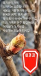 3월의 속삭임 - [이기자]77.78.79여단 - 우리는 이기자 가족 3월의 속삭임