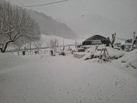 2026. 1월 (강원 산골 풍경) - 카페 앨범 - 부산중구문인협회 2026. 1월 (강원 산골 풍경)