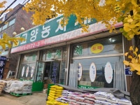 11/6, 주변 지인님들 밭 근황 - 2020 - 아바타상추 11/6, 주변 지인님들 밭 근황