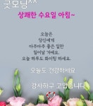 수요일 아침~~ - 자유게시판 - 마음드리봉사단 수요일 아침~~