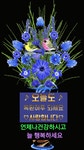 오늘도 복된 하루 되세요, - 자유게시판 - 마음드리봉사단 오늘도 복된 하루 되세요,
