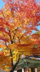 화성.오산 마음드리 봉사단 산악회 소식 - 자유게시판 - 마음드리봉사단 화성.오산 마음드리 봉사단 산악회 소식