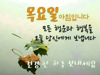 🔹행복은 그냥 오지 않는다🔹 - 자유게시판 - 마음드리봉사단 🔹행복은 그냥 오지 않는다🔹