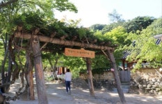 화성.오산 마음드리 봉사단 산악회 소식 - 자유게시판 - 마음드리봉사단 화성.오산 마음드리 봉사단 산악회 소식