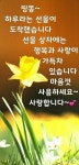 띵똥~~ - 자유게시판 - 마음드리봉사단 띵똥~~