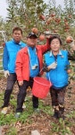평택포승 태봉농장사과따기봉사. - 행사 사진방 - 마음드리봉사단 마음드리봉사단