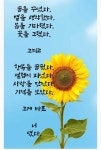 꼭!당첨되구 시포요 ㅋㅋ - TO. 성리 - 성리 공식 팬카페 성리학자 꼭!당첨되구 시포요 ㅋㅋ