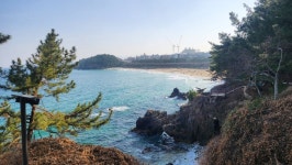 코,둘 2진 29차 / 해파랑길 35-1,34,33-2코스 - 코리아 둘레길 사진 - 신사산악회 코,둘 2진 29차 / 해파랑길 35-1,34,33-2코스