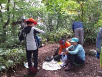영춘지맥9구간 양구두미재_태기산_삼계봉_덕고산_봉복사_신대리 - 정맥... 영춘지맥9구간 양구두미재_태기산_삼계봉_덕고산_봉복사_신대리