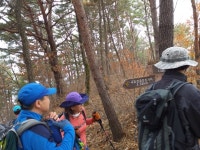 도솔기맥2구간(B팀) 두무동고개_양구터널_도라지고개_봉화산_내심포 - 정맥,기맥,지맥,종주 - 신사산악회 도솔기맥2구간(B팀) 두무동고개... 