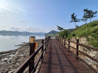 코리아둘레길96차 서해랑길5코스 서해랑길6코스 서해랑길7-1코스 해남 진도구간 - 코리아 둘레길 사진 - 신사산악회 코리아둘레길96차... 