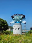 코리아둘레길98차 서해랑길 9코스 10코스 11-1코스(역순) 진도구간... 코리아둘레길98차 서해랑길 9코스 10코스 11-1코스(역순) 진도구간