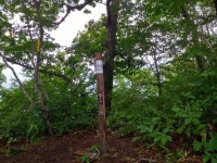 영춘지맥9구간 양구두미재_태기산_삼계봉_덕고산_봉복사_신대리 - 정맥... 영춘지맥9구간 양구두미재_태기산_삼계봉_덕고산_봉복사_신대리