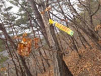 한남금북정맥2구간 말티재_새목이재_수철령_600봉_백석리_구티재_탁주봉_작은구티재 - 정맥,기맥,지맥,종주 - 신사산악회 한남금북정맥2구간... 