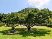 서해랑길 8+7-2구간(귀성삼거리 - 오일시)(역) 20260628 - 코리아... 사진 - 신사산악회 서해랑길 8+7-2구간(귀성삼거리 - 오일시)(역) 20260628