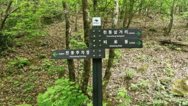 소백산(천동리=＞비로봉=＞연화봉=＞천동리)원점산행 - 윤종국님(16) 카페★ - 와수초등학교 총동문회 소백산(천동리=＞비로봉=＞연화봉... 