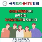 유아숲지도사 분들을 모십니다 - 공지사항 - 국제트리플레잉협회-트리클라이밍/밧줄놀이/아보리스트/생존로프 유아숲지도사 분들을 모십니다