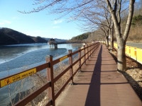 레스또랑＆카페 ‘달반물반’ - 금강사랑방 - 금강불교 레스또랑＆카페 ‘달반물반’