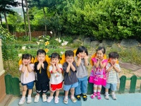 7월 1주 이야기 - 뿌리2반 이야기 - 예산공립어린이집 7월 1주 이야기