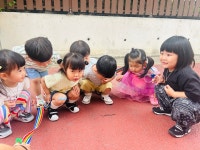 6월 4주 이야기 - 뿌리2반 이야기 - 예산공립어린이집 6월 4주 이야기