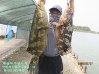 25년 7월 7일 월요일 조황 - *조황 정보* - 해솔바다낚시터 25년 7월 7일 월요일 조황