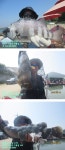 26년 6월 10일 수요일 조황 - *조황 정보* - 해솔바다낚시터 26년 6월 10일 수요일 조황