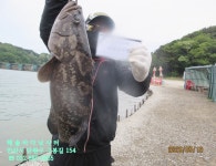 26년 5월 19일 화요일 조황 - *조황 정보* - 해솔바다낚시터 26년 5월 19일 화요일 조황