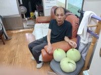 # 금포국민학교졸업 장세영이용소 금빛대학졸업.& - 카페 앨범 - 육군 2군 사령부 # 금포국민학교졸업 장세영이용소 금빛대학졸업.&