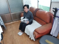 # 금포국민학교졸업 장세영이용소 금빛대학졸업.& - Q&A 게시판 - 육군 2군 사령부 # 금포국민학교졸업 장세영이용소 금빛대학졸업.&