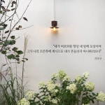 브니엘, 얍복 나루에서 - 지휘자의窓 - 가나안교회 찬양대카페 브니엘, 얍복 나루에서