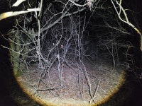 [모후지맥원샷]수산2구마을회관~분기점~밤실산~운월산~모후산~종착점... - 지맥 산행앨범 - 서울올빼미산악회 [모후지맥원샷]수산2구마을회관... 