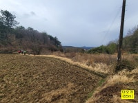 [태청지맥2구간]우치~병풍산2~백룡산~청림산~종착점/156지맥,대밭과... [태청지맥2구간]우치~병풍산2~백룡산~청림산~종착점/156지맥,대밭과 배밭... 