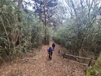 [태청지맥1구간]상무대동문삼거리~태청산(분기점)~태산~월악산~병풍산~우치/백두대간 뺨치는 명산(?)이 즐비~ - 지맥 산행앨범 - 서울올빼미산악회... 