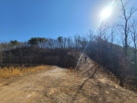 [내연지맥원샷]성법령~분기점~내연산 향로봉~동대산~바데산~종착점/157지맥,내연관계가위험한이유;힘들어 - 지맥 산행앨범 - 서울올빼미산악회... 