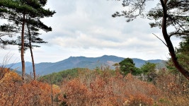 △(관기420) 삼봉산 골치봉 소머리산 곰골산 두리봉 (상주) - 정기산행... (관기420) 삼봉산 골치봉 소머리산 곰골산 두리봉 (상주)