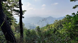 쌀개봉 봉림산 육리봉 덕갈봉 촉새봉 (원주) - 정기산행 후기/사진 - 뉴서울마운틴클럽 쌀개봉 봉림산 육리봉 덕갈봉 촉새봉 (원주)