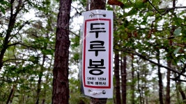 두루봉 성주봉 삼각점봉(충남114) 평당봉 우각봉 오봉산 홍대뒷산... 뉴서울마운틴클럽 두루봉 성주봉 삼각점봉(충남114) 평당봉 우각봉... 