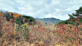 △(관기420) 삼봉산 골치봉 소머리산 곰골산 두리봉 (상주) - 정기산행... (관기420) 삼봉산 골치봉 소머리산 곰골산 두리봉 (상주)
