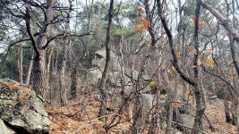 작은우태산 우태산 미모산 삼두봉 백운산(삼방산) 세심산 백운산 (김천)... 뉴서울마운틴클럽 작은우태산 우태산 미모산 삼두봉 백운산(삼방산)... 